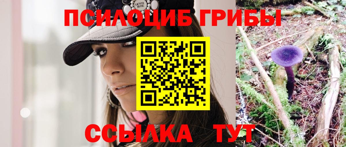 Псилоцибиновые грибы GOLDEN TEACHER Павловский Посад