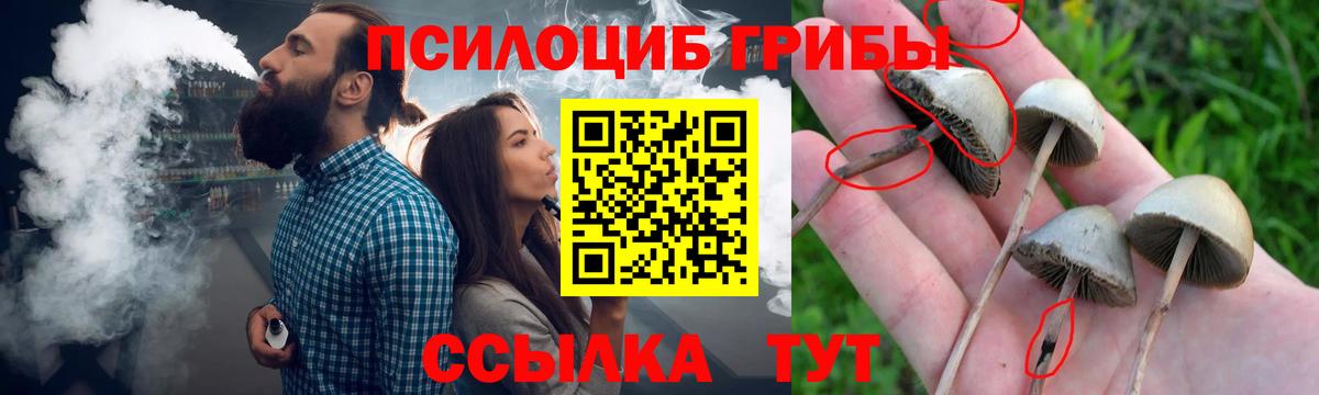 Псилоцибиновые грибы мицелий  Псилоцибиновые грибы прущие грибы  Вход с VPN  Павловский Посад 